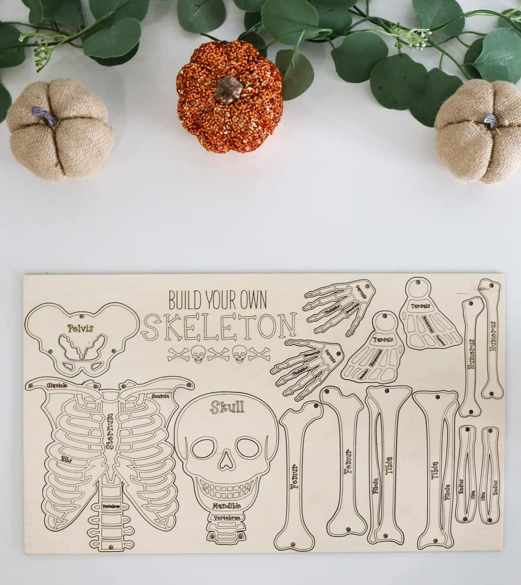 DIY Build your own Skeleton – Red's Essential Boutique LLC diy-build-your-own-skeleton-red-s-essential-boutique-llc