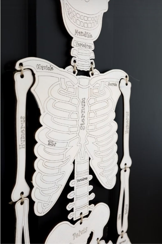 DIY Build your own Skeleton