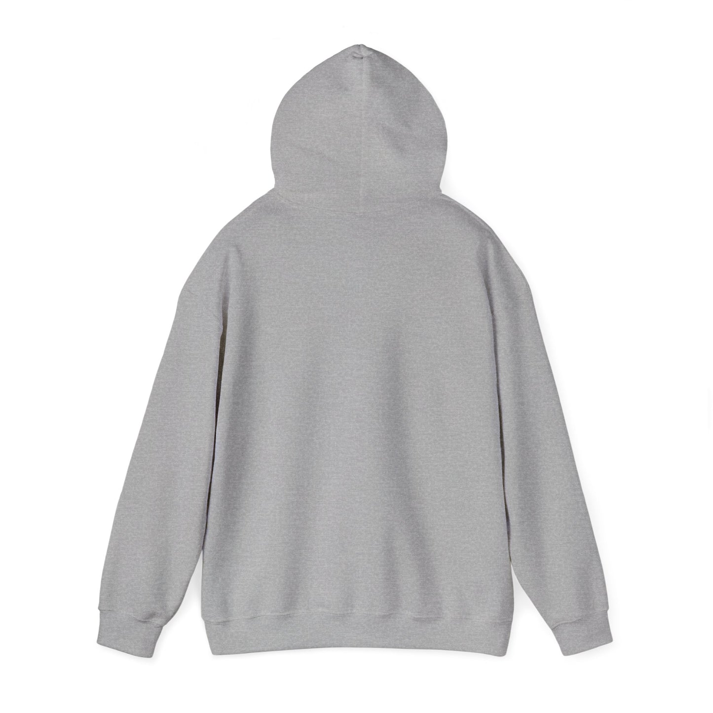 Merry Raccoon Christmas Hoodie – Cute Holiday Graphic Sweatshirt