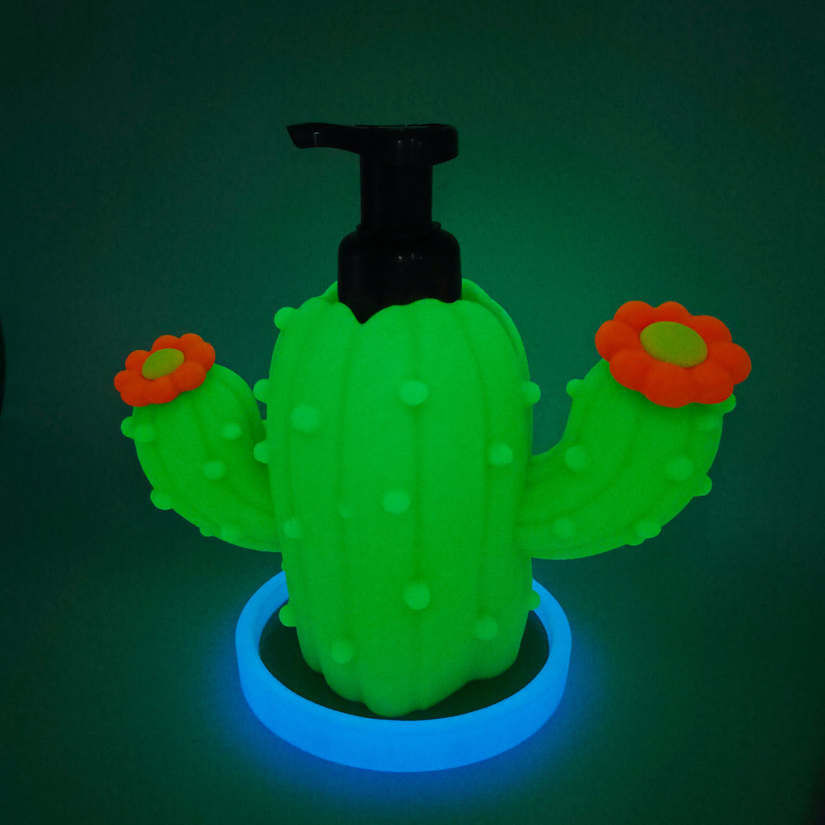 Cactus with Saucer