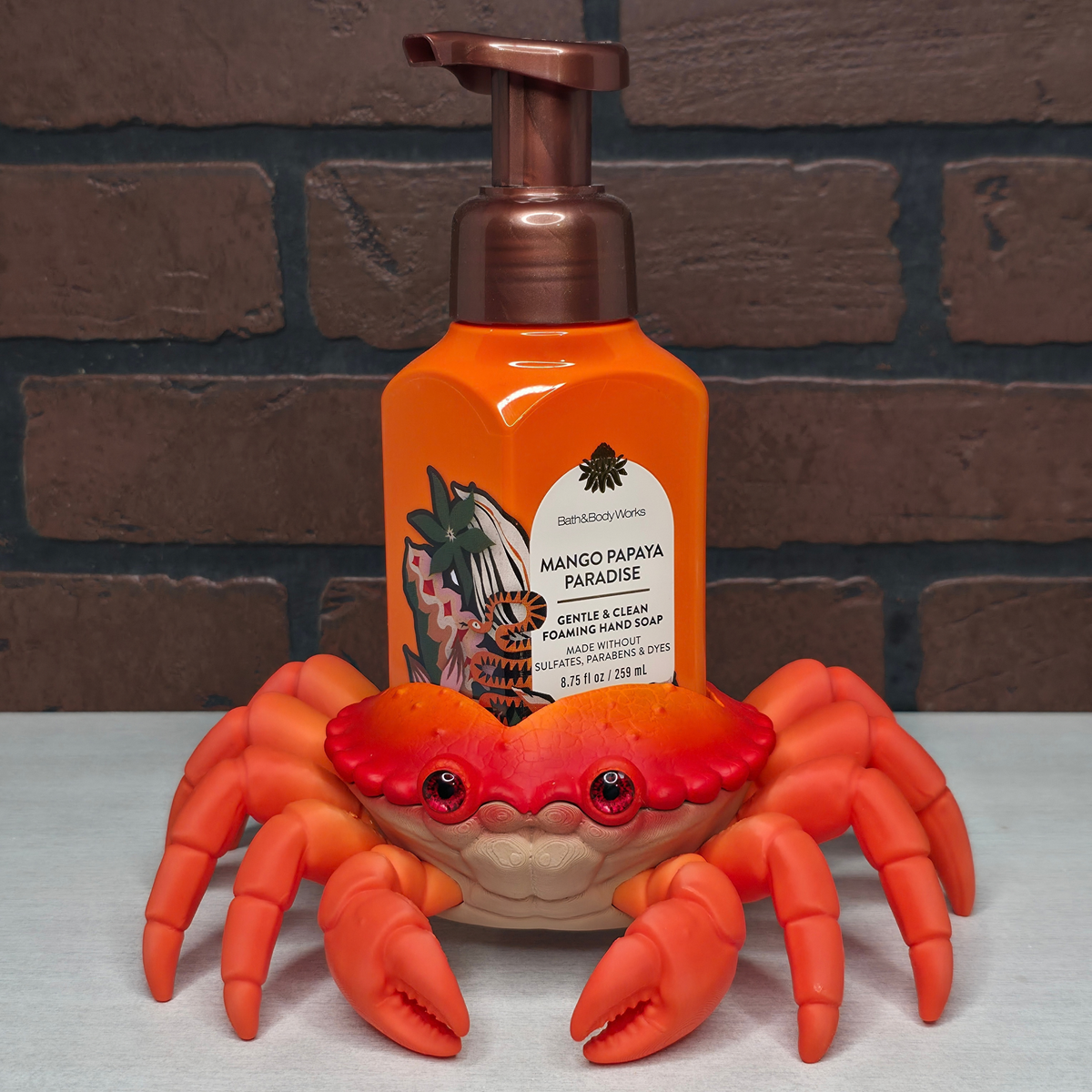 Foaming Hand Soap Holders