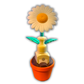 Daisy