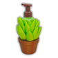 Succulent with Pot