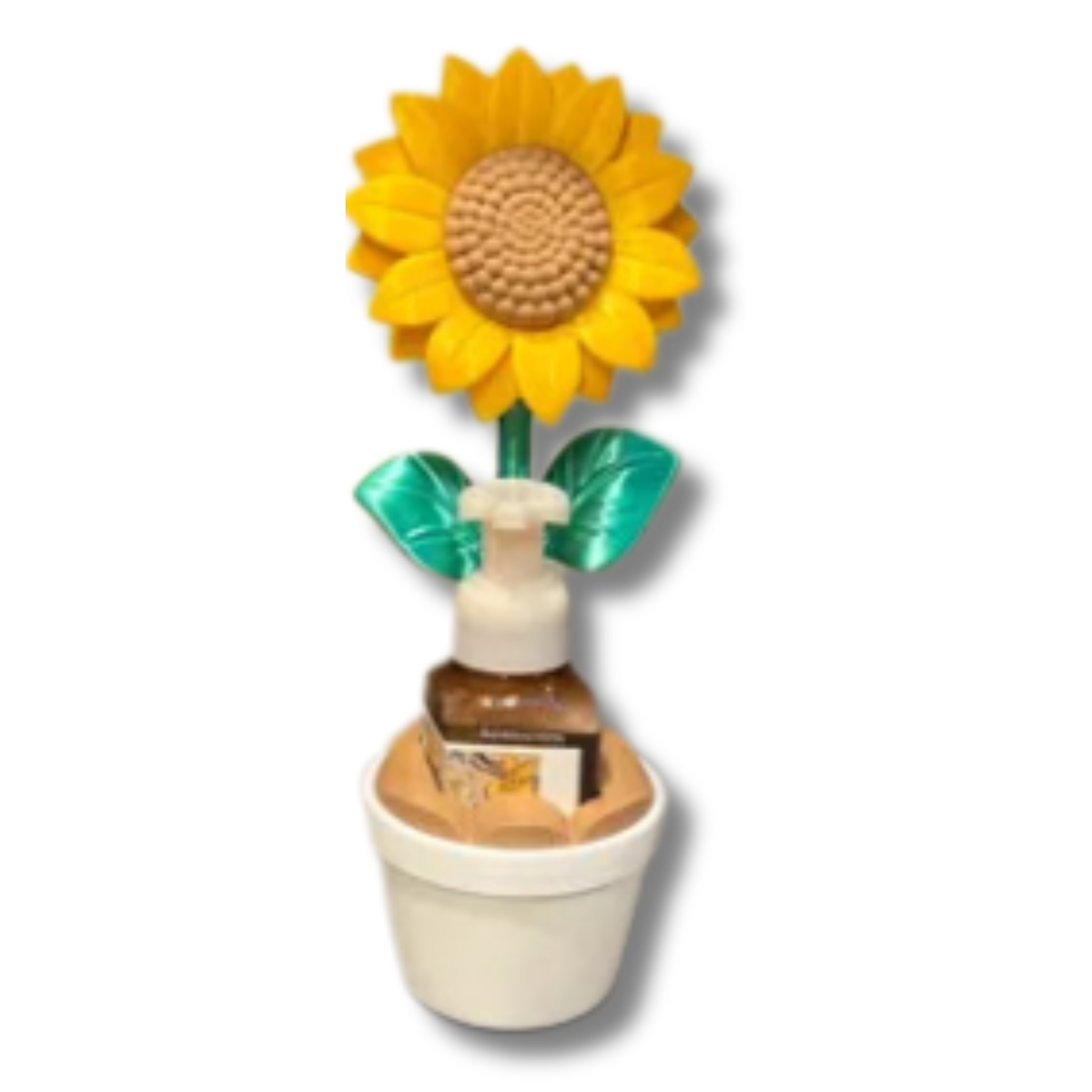 Sunflower in Pot