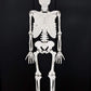 DIY Build your own Skeleton